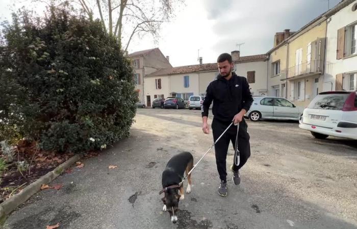 Oussama, 20 ans, raconte sa vie d’ouvrier agricole exploité