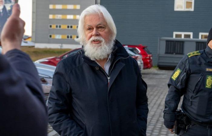 Paul Watson est « prêt à poursuivre la lutte » contre la chasse à la baleine