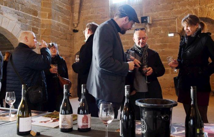 Equilibrées, profondes, rondes… Les trois cuvées « In Vino Fabula » de la Cité de Carcassonne font sensation