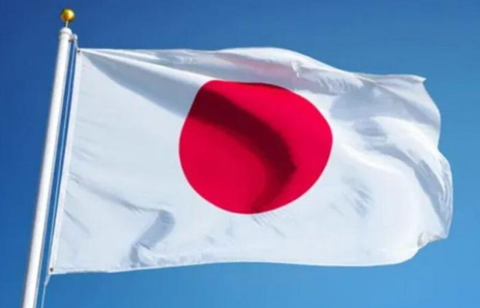 Le Japon veut faire des énergies renouvelables sa première source d’électricité d’ici 2040