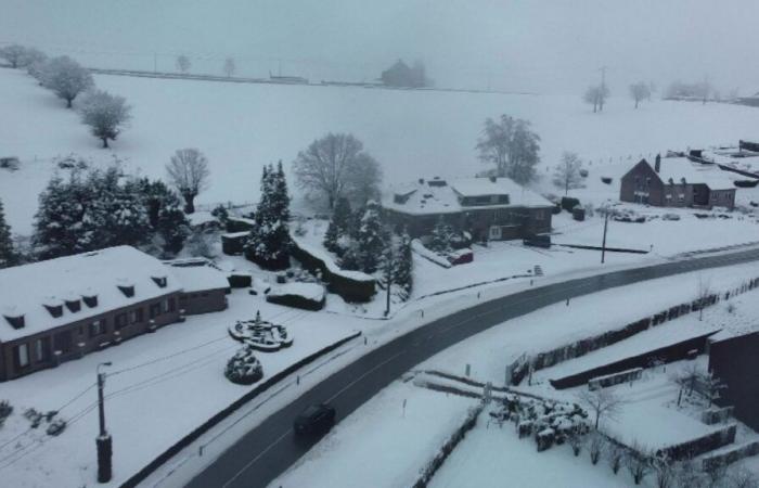 Mais où sont passés le froid et le gel ? « Tout cela appartient au passé »