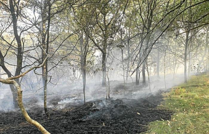 Lutte contre les incendies et les coupures d’électricité au sein du conseil municipal de Camors