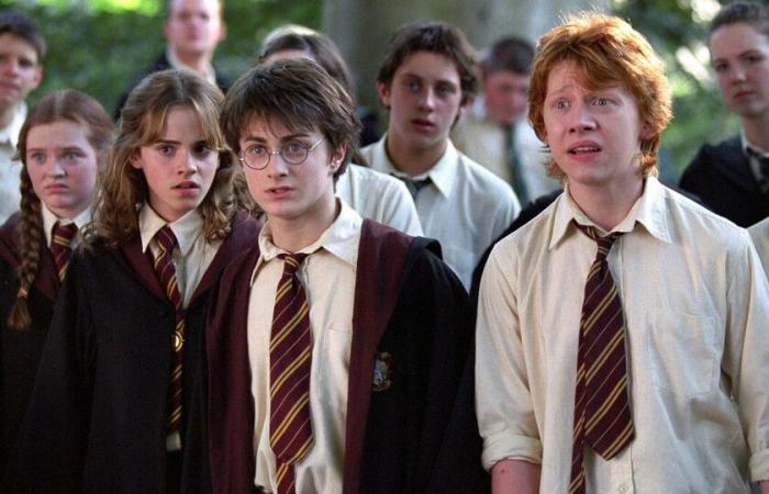 “Je ris à chaque fois que je l’entends.” Il y a trois mots dans Harry Potter qui ont rendu fou celui qui a raconté ses livres en anglais