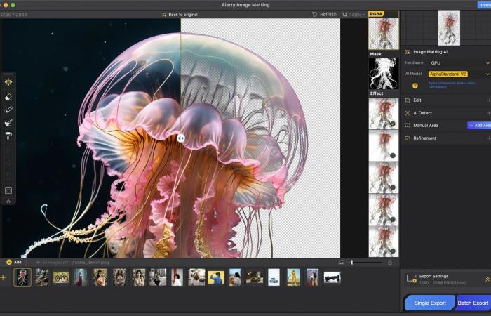 Aiarty Image Matting révolutionne la façon dont l’IA supprime et remplace l’arrière-plan de l’image
