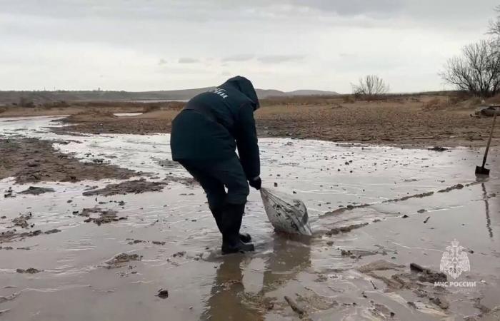 marée noire sur près de 50 km de plage après le naufrage de deux pétroliers