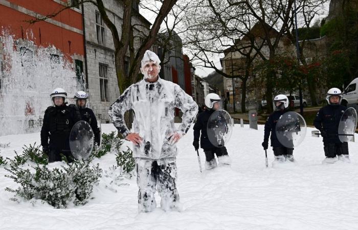 Plusieurs centaines d’agents du service public wallon dans les rues de Namur pour dénoncer les coupes budgétaires