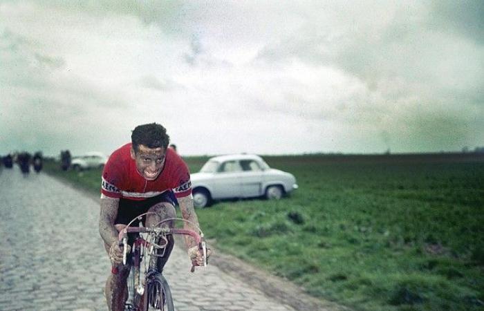 Portrait de l’icône du cyclisme Rik Van Looy, deuxième meilleur coureur belge de tous les -