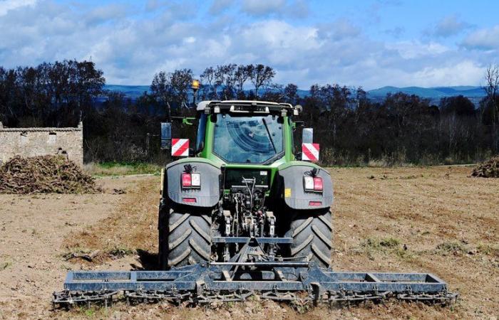 “Déraciner les vignes, c’est toujours un crève-cœur”, dans l’Aude près de 5.000 hectares pourraient disparaître