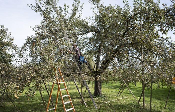 National veut plus d’argent pour l’agriculture