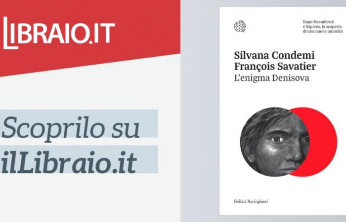 « L’énigme Denisova » de Silvana Condemi – Livre broché – NOUVEAUX ESSAIS DE MARQUE BORINGHIERI