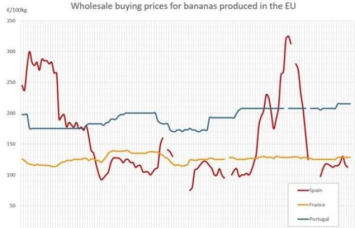 Les prix de la banane en Europe augmenteront jusqu’à 12 euros le kilogramme en décembre 2024