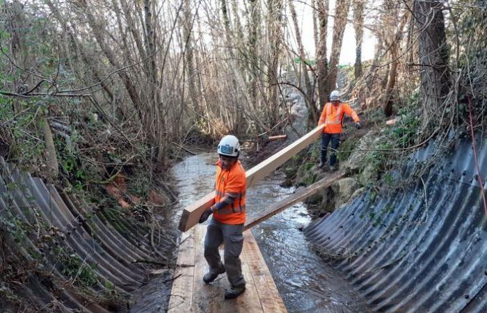 Gros travaux d’urgence dans le lit du Riou-Mort, sous la RD 840 effondrée à Firmi