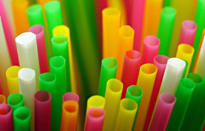 Les produits chimiques plastiques sont liés à des centaines de milliers de décès dans le monde, selon une étude