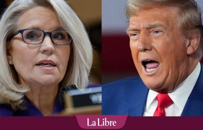 Trump prévient que la critique Liz Cheney pourrait avoir de « gros problèmes »