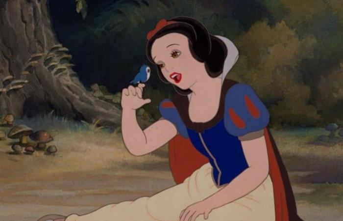 Blanche Neige, Cendrillon, Jasmine… Les princesses Disney sont-elles en bonne santé dans la vraie vie ?