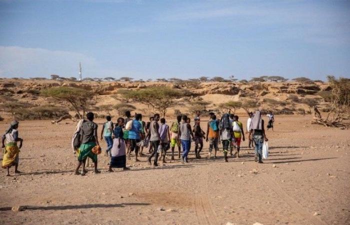 Pourquoi la France n’a-t-elle pas ratifié la Convention de l’ONU pour la protection des travailleurs migrants ? – VivaAfrik