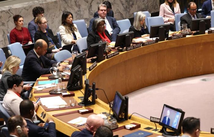 Le Conseil de sécurité de l’ONU appelle à un processus politique « inclusif » en Syrie