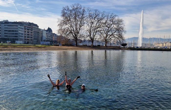 Nager dans l’eau froide gagne en popularité à Genève