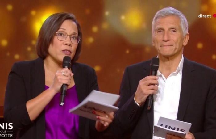 Face à « Alexandra Ehle », sans adversaire sur France 3, quel score pour « Unis pour Mayotte » avec Nagui et Karine Baste sur France 2 ?