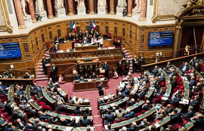 Le Parlement adopte définitivement la loi spéciale pour pallier l’absence de budget pour 2025