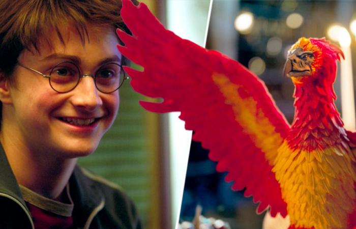 Les fans d’Harry Potter ravis par une nouvelle série que vous avez peut-être manquée – Harry Potter