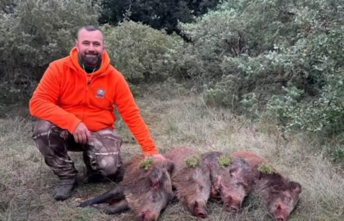 Deux sangliers doublent en position dorée lors de la même chasse pour Bruce Boar Hunter !