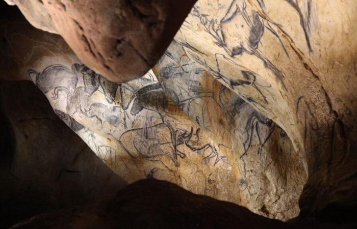 La grotte Chauvet, chapelle Sixtine de la préhistoire, fête les trente ans de sa découverte