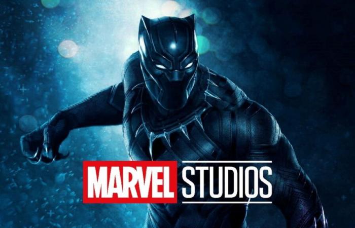 Marvel Studios officialise Black Panther 3 dans une annonce douce-amère