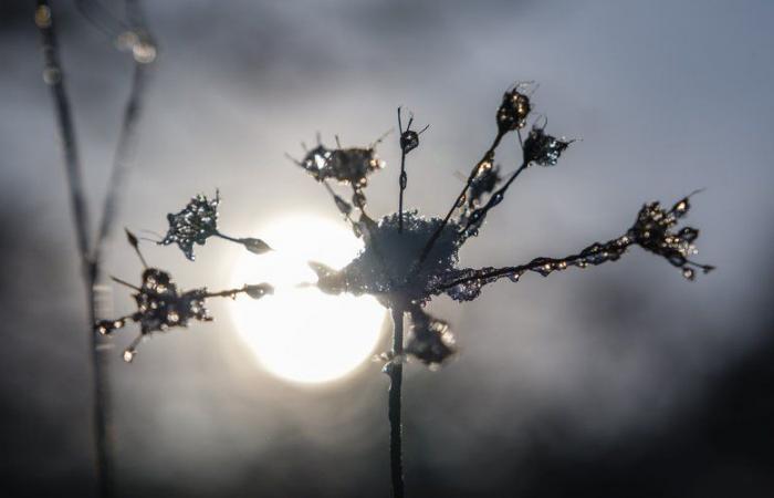 Neige en Occitanie, températures fraîches, soleil à Montpellier… quel - fait le début des vacances de Noël ?