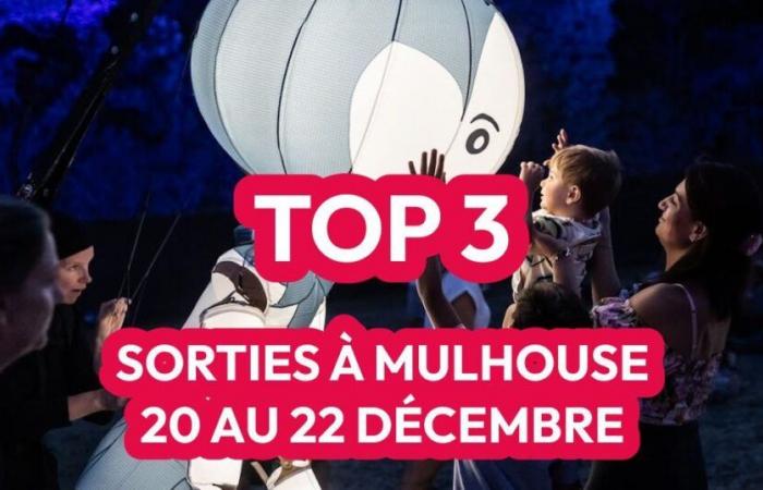 Noël bleu, écomusée et cirque de Noël