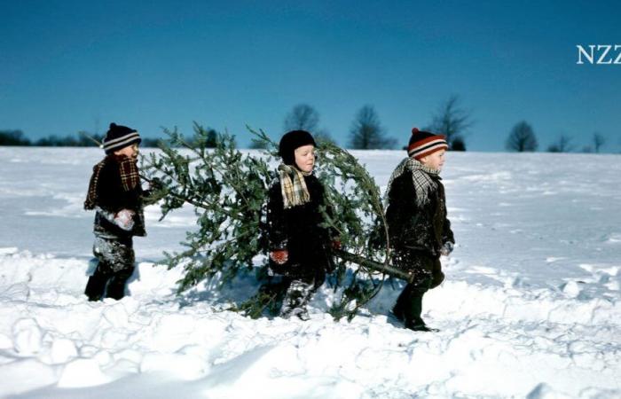 Est-ce qu’il neigera la veille de Noël cette année ?