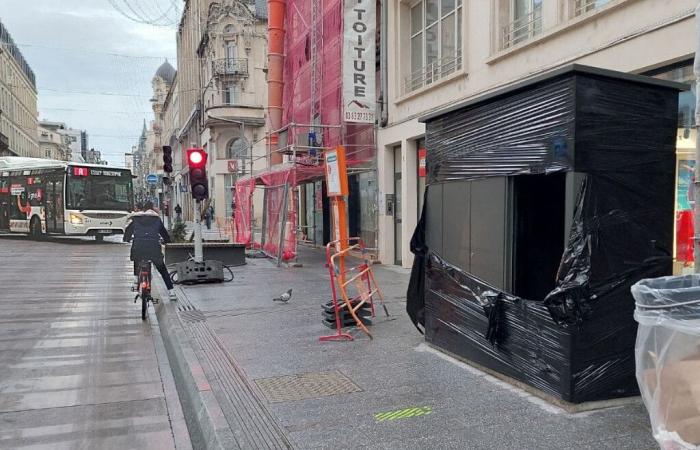 que sont ces « boîtes métalliques » installées aux arrêts de trolleybus ?