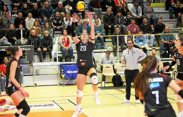 Résistance héroïque mais vaine pour Quimper Volley à Mulhouse