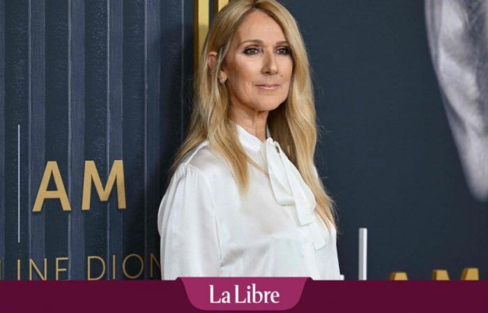 « Céline Dion ne pourra plus faire de show comme avant »