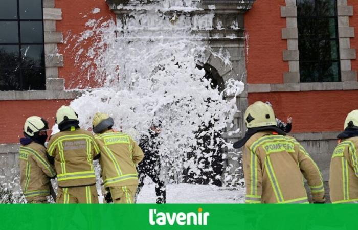 Plusieurs centaines d’agents du service public wallon dans les rues de Namur pour dénoncer les coupes budgétaires