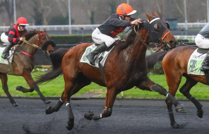 Gala d’Urfist, ou la grande forme d’Adrien Lamy