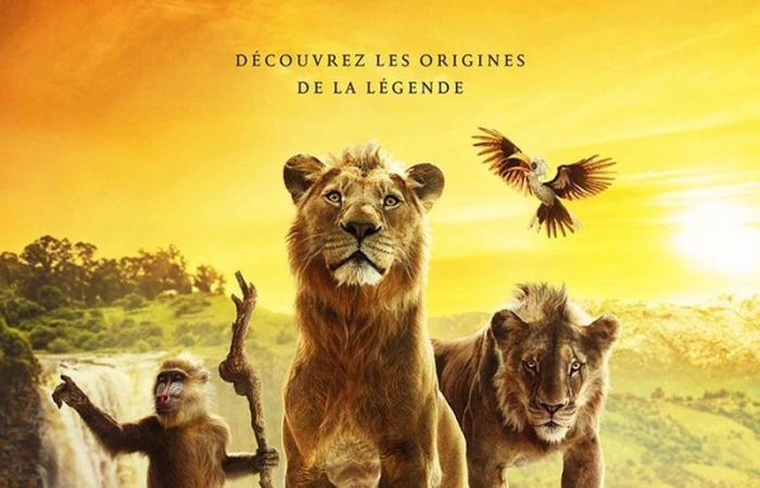 Le Roi Lion”, “Jamais sans mon psy”