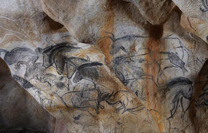 La grotte Chauvet, chapelle Sixtine de la préhistoire, fête les trente ans de sa découverte