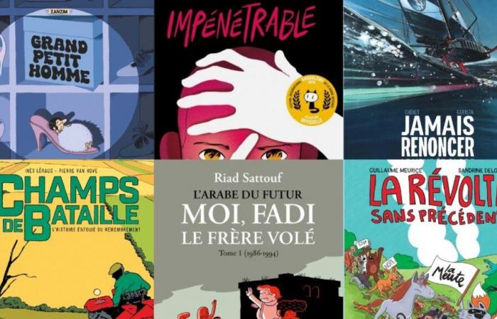 Un cadeau de dernière minute à trouver ? Voici huit BD à offrir à Noël