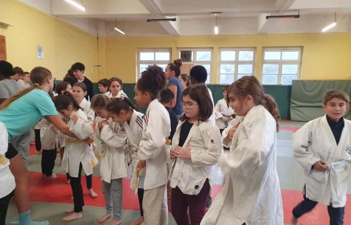 Ecole de Judo du Soum / Collège Saint Joseph, une histoire d’apprentissage collectif – LOURDES-ACTU