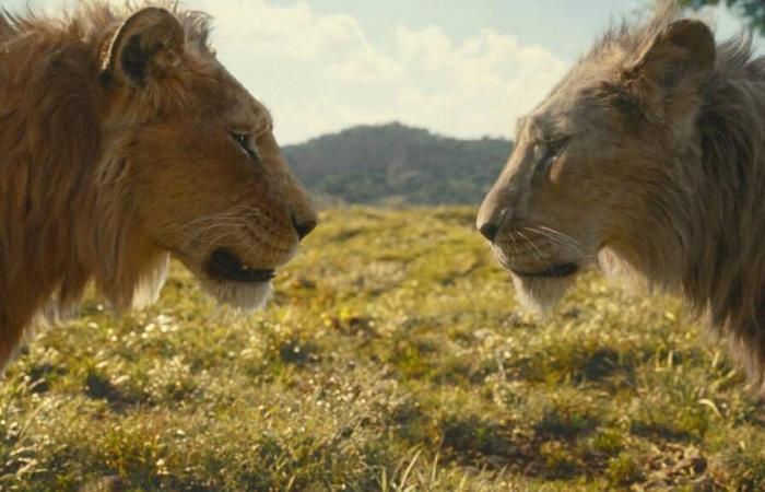 ‘Mufasa’, l’histoire d’origine qui va changer votre façon de voir ‘Le Roi Lion’ – Actualité cinéma