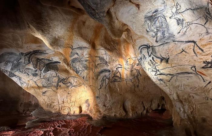 VIDÉO. Il y a 30 ans, 3 spéléologues amateurs découvraient la grotte Chauvet, la plus ancienne grotte ornée du monde