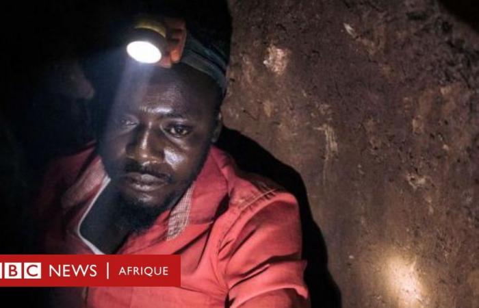 La RDC accuse Apple d’utiliser des minerais de conflit