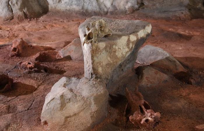 La grotte Chauvet, chapelle Sixtine de la préhistoire, fête les trente ans de sa découverte