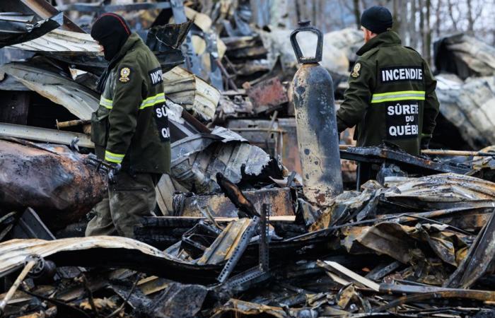 Est du Québec | Guerre des gangs alimentée par les armes américaines