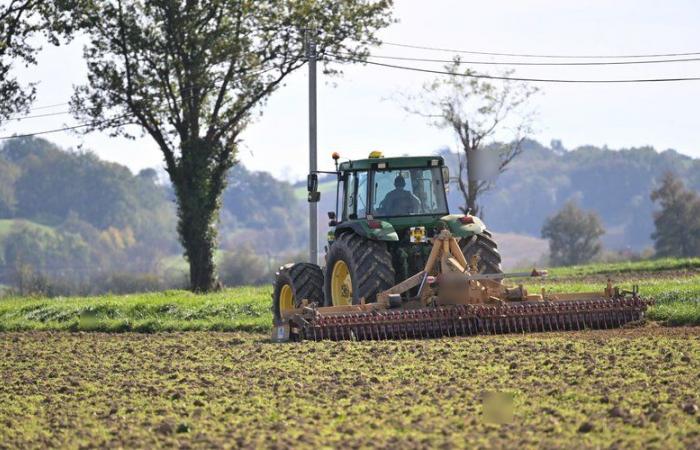 VRAI OU FAUX. L’agriculture française est-elle vraiment tombée à la 6ème place des exportations mondiales, comme le prétend Marine Le Pen ?