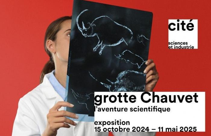 « La Grotte Chauvet, l’aventure scientifique » à voir à la Cité des Sciences à Paris jusqu’au 11 mai 2025