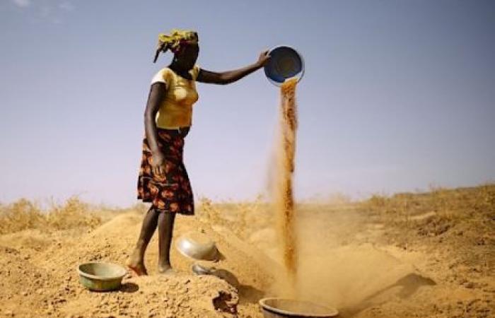 L’Organisation panafricaine des agriculteurs et la BAD renforcent leur partenariat