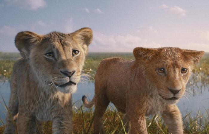 Mufasa : Le Roi Lion, doubleurs et personnages : qui fait quoi dans le film Mufasa : Le Roi Lion