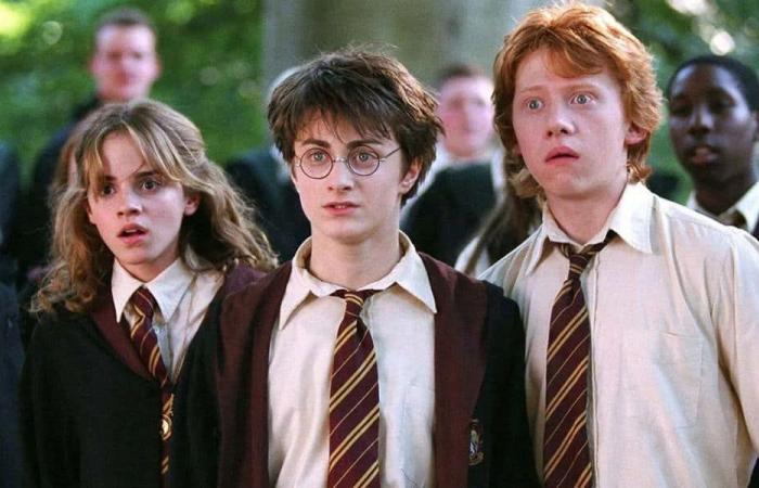 Le casting original de “Harry Potter” revient sur grand écran au milieu des réactions négatives du redémarrage